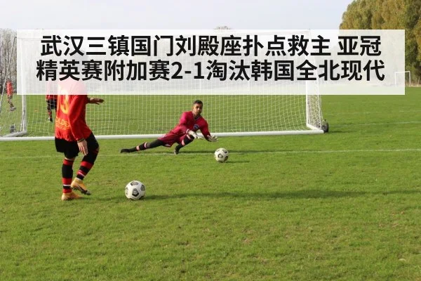 武汉三镇国门刘殿座扑点救主 亚冠精英赛附加赛2-1淘汰韩国全北现代 - nine game