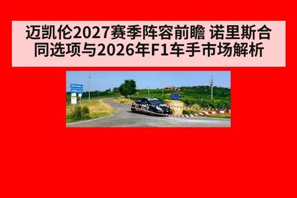 迈凯伦2027赛季阵容前瞻 诺里斯合同选项与2026年F1车手市场解析 - nine game